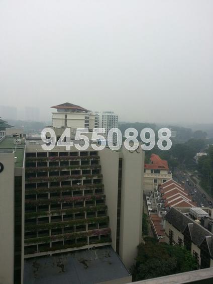 St. Regis Residences (D10), Apartment #86845062